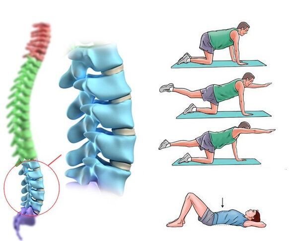 Fisioterapia e masaxe
