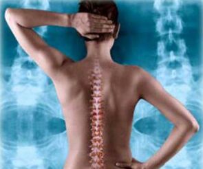 ilustración da columna vertebral